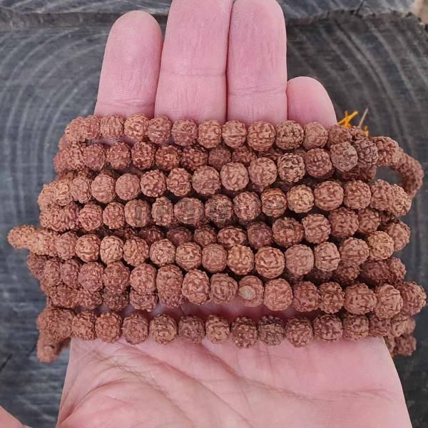 rudraksha-koralky-8-9mm-snura-1