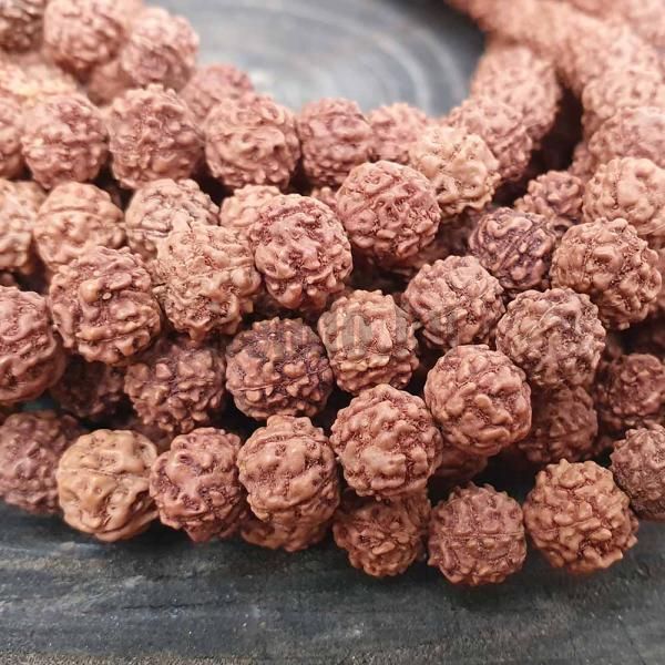 Rudraksha gyngyk 8- 9 mm zsinr