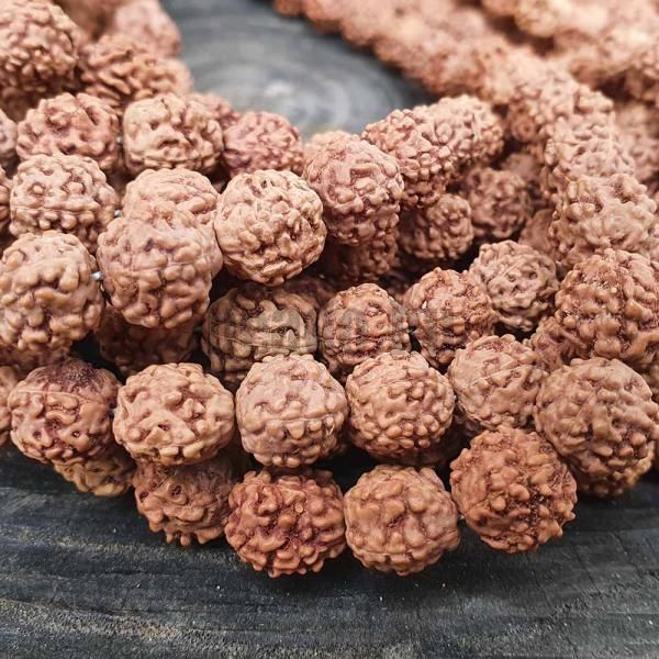 Rudraksha gyngyk 9 - 10 mm zsinr