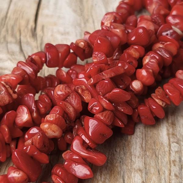 V�r�skorall �sv�nyt�rmel�k zsin�r