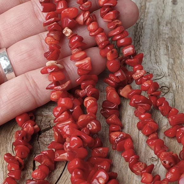 1846-koralkz-cervenz-koral-2