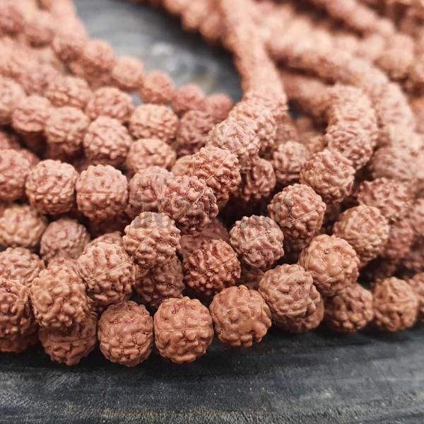 Rudraksha gyngyk 6 - 7 mm zsinr